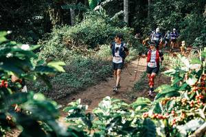 BIB: 
                            <button type="button" onclick="openModal(25853136)" class="btn btn-primary btn-sm float-right btn-popup" data-toggle="modal" data-target=".modal-high-quality">
                        <i class="fas fa-shopping-cart"></i> Add to Cart
                    </button>
                                            <button type="button" onclick="isThisMe(25853136, true)" class="btn btn-success btn-sm float-right btn-popup btn-isme hidden" data-toggle="tooltip" data-placement="bottom" title="นี่คือรูปของคุณใช่ไหม คลิกที่นี่เพื่อเอาเข้าอัลบั้ม">
                        <i class="fas fa-plus"></i> Add to album
                    </button>
                    <button type="button" onclick="isThisMe(25853136, false)" class="btn btn-warning btn-sm float-right btn-popup btn-isnotme hidden">
                        <i class="fas fa-ban"></i> Remove from album
                    </button>